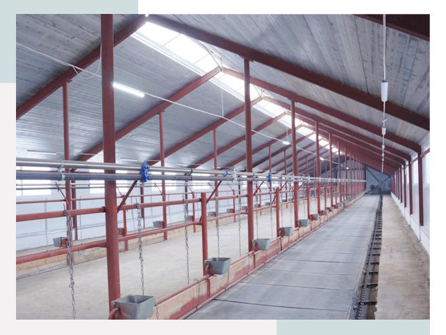 Строительство коровников в Ревде от 635 руб.