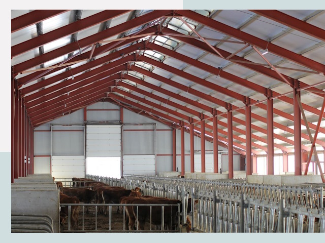 Строительство коровников в Ревде