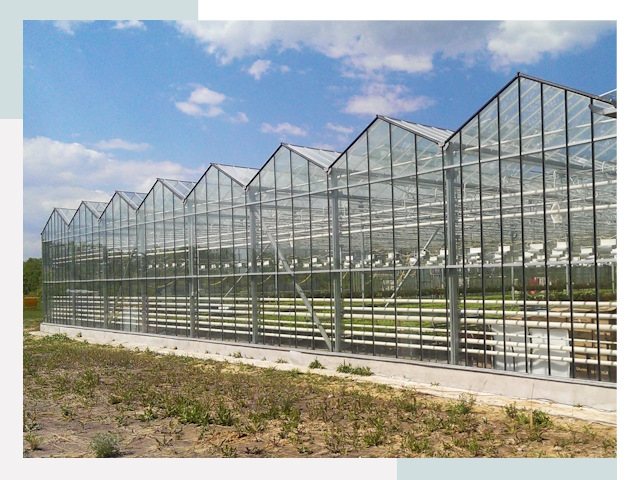 Строительство теплиц в Ревда от 635 руб. за м²